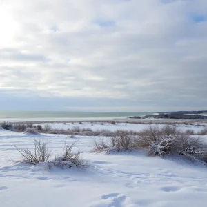 Cold winter landscape in Rhode Island with hints of light snow.