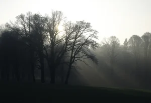 A tranquil landscape symbolizing farewell