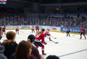 Women's hockey game between Providence College and Clarkson University