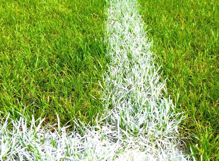 Eagles Add Joe Milton as Hurts Sits With Blood Clot
